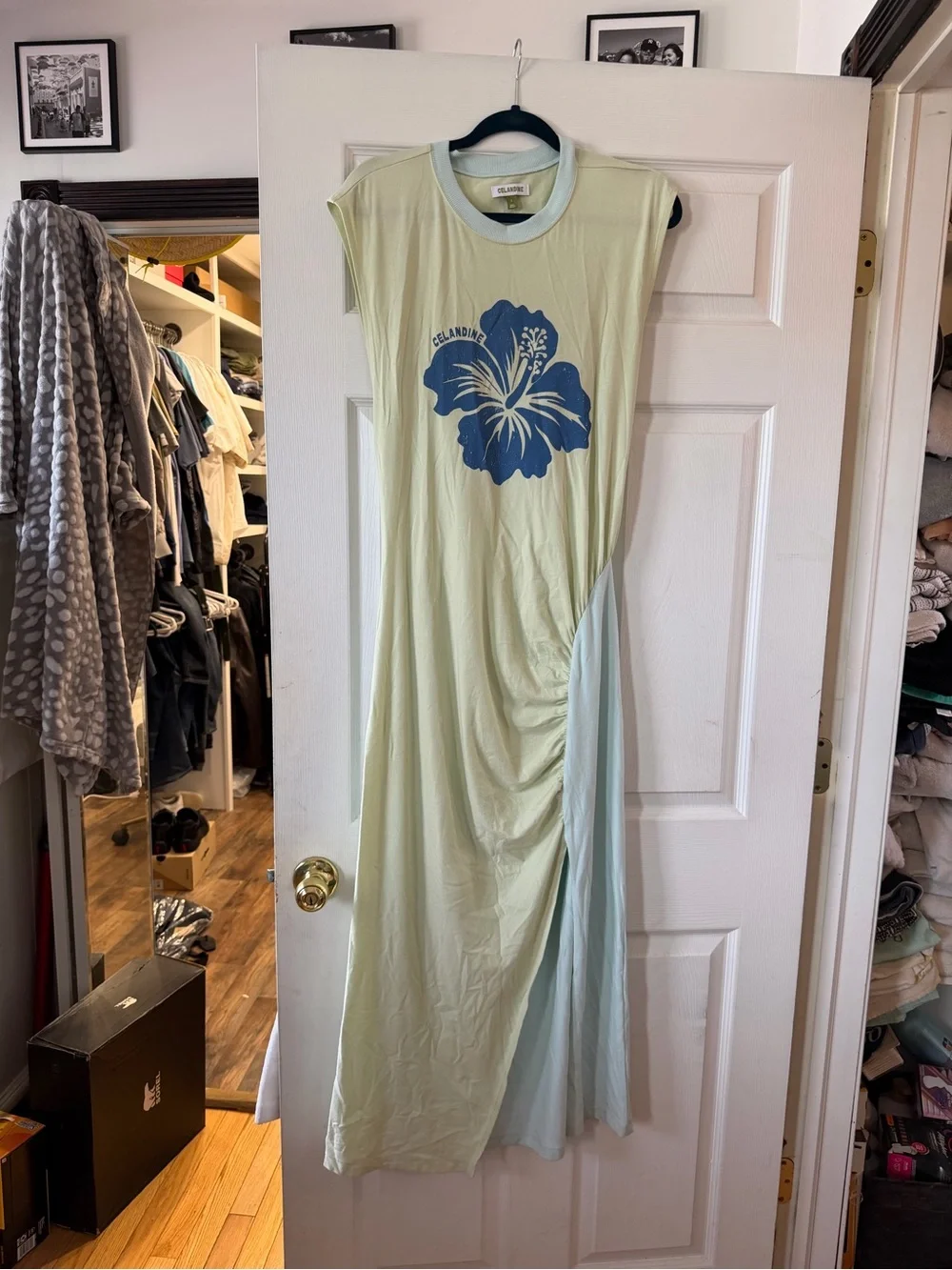 Sleeveless Light Green Maxi Dress with Blue Floral Print by AllSaints - Picture 1 of 4